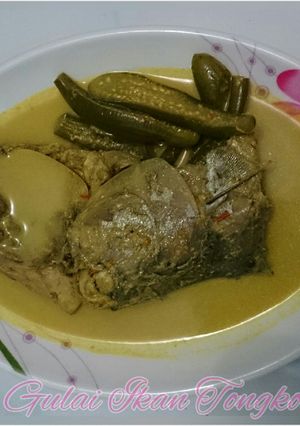 Foto resep Gulai Ikan Tongkol