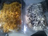ketan Susu keju + Meises Yummy (Kesusu)