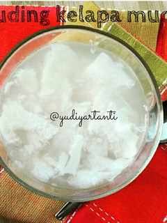 Foto resep Puding Kelapa Muda