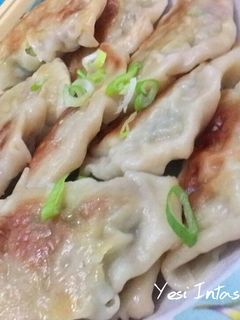 Foto resep Homemade Chicken Gyoza