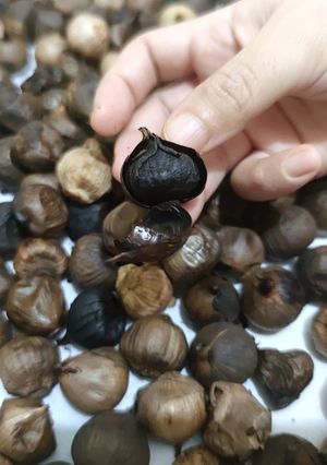 Foto resep Bawang Hitam Magic Com