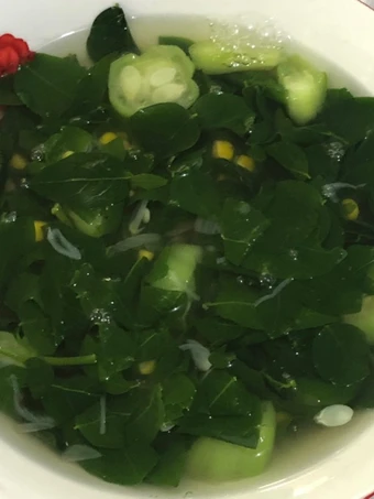 Cara Mudah Membuat Resep  Sayur Bening Katuk - Oyong - Jagung yang Lezat, Menggugah Selera