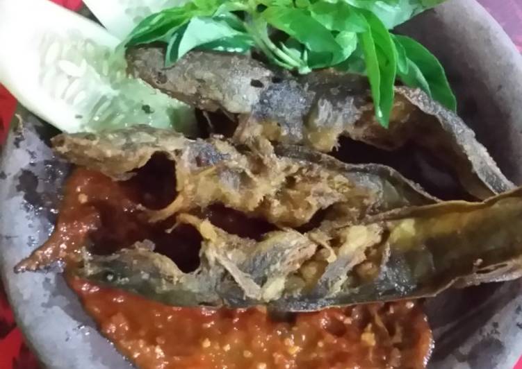 Proses memasak Lele goreng &amp; Sambal Sari Laut Mantap Lezat