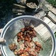 Chicharrones de lapa