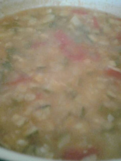 Una foto de Caldillo de Calabacitas