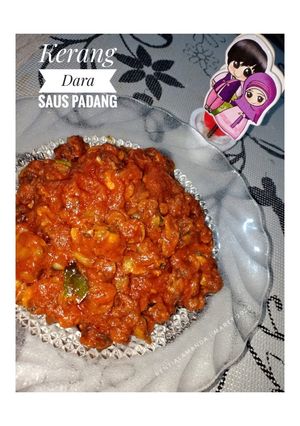 Foto resep Kerang Dara Saus Padang