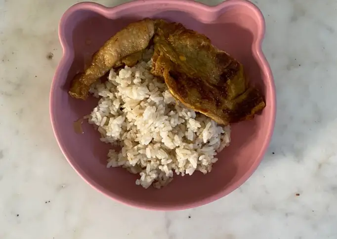 Nasi Kulit Ayam dan Telur Dadar Kecap Mpasi