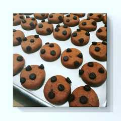 รูปของ Chocochips Cookies