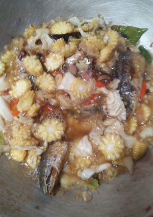 Foto resep Oseng pedo jagung muda