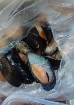 Una foto de Mejillones en las rocas