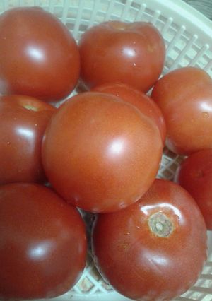 صورة لوصفة تجهيز  الطماطم