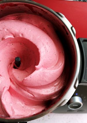 Foto de Espuma de Frutos Silvestres