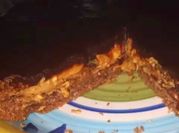 Una foto de tarta de mantecol