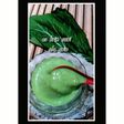 es krim sawi like avocado taste