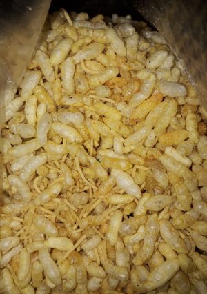 A picture of Vagharela Mamra.