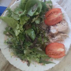 A picture of Chicken salad.
