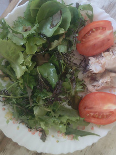 A picture of Chicken salad.