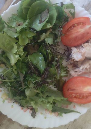A picture of Chicken salad.