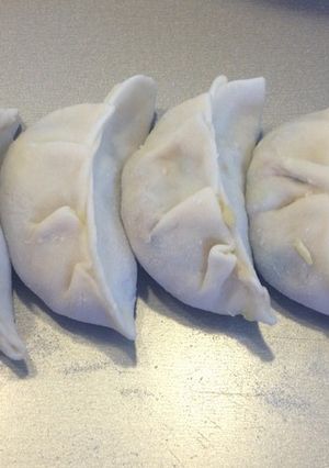 A picture of Easy Homemade Gyoza Wrappers with a Bread Machine.
