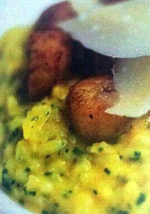 A picture of Pumpkin&Parmesan risotto (good with crab claws,lobster, langustines or pan fried scallops).