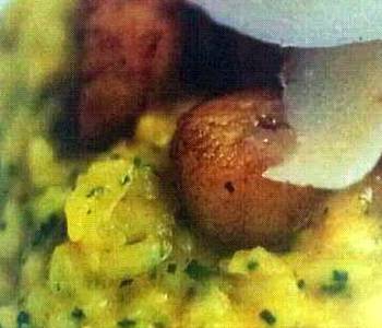 New Recipe PumpkinParmesan risotto good with crab clawslobster langustines or pan fried scallops Delicious and Healthy