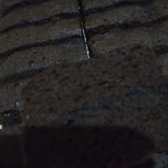 A picture of Brownis kukus.