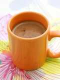 Homemade Café-Style Hot Chocolate in the Microwave