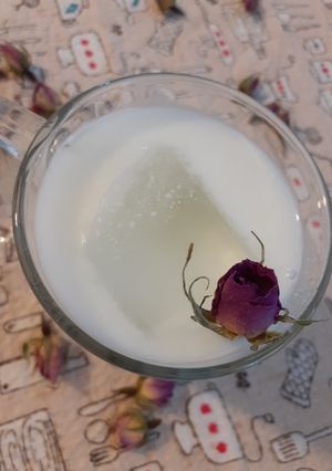 عکسی از دستور دوغ گازدار خانگی