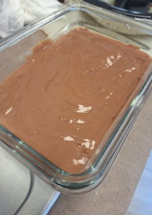 Une photo de Crème dessert chocolat au companion