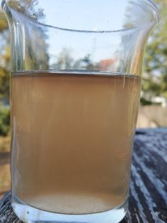 Kakukkfüves, gyömbéres tea recept fotója
