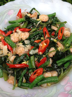 Foto resep Indofood Bumbu Racik Tumis Kangkung Kacang Panjang Kecambah dan Udang