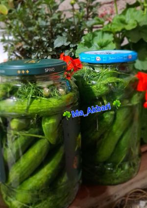 عکسی از دستور 🌺خیار شور خانگی