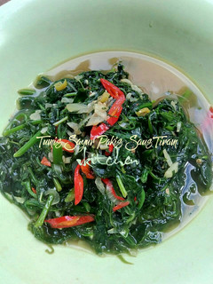 Foto resep Tumis Sayur Pakis Saus Tiram