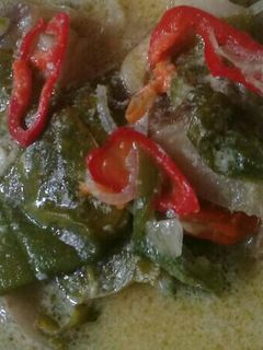 Foto resep Lodeh terong ungu