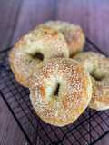 Bagel