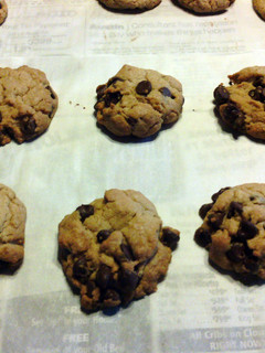 A picture of SZ Chocolate Chip Cookies.