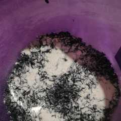 Tape Ketan Hitam রেসিপির প্রধান ছবি