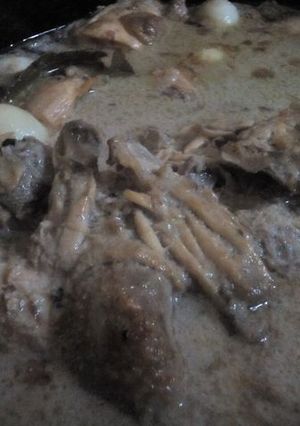 Foto resep Opor Ayam Kombinasi Istimewa