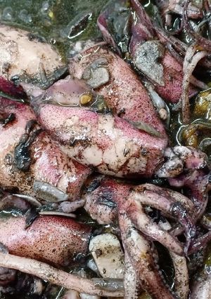Foto resep Cumi masak item