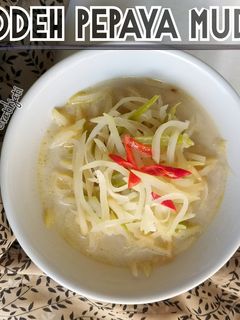 Foto resep Lodeh Pepaya Muda