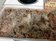 A picture of chicken and rice