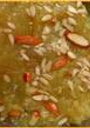 A picture of Patato Halwa.