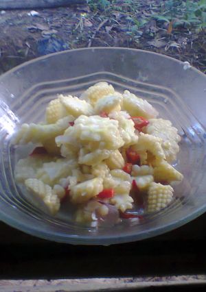 Foto resep Tumis putren sederhana