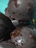 Cápsulas de café y chocolate
