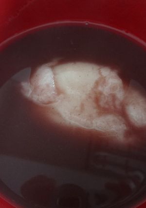 A picture of Easy Oshiruko with Smooth Red Bean Paste.