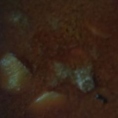 A picture of Chicken Qorma.