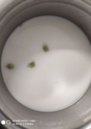 தேங்காய் பால் செய்முறை முக்கிய புகைப்படம்