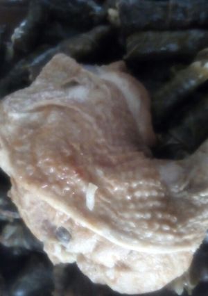 صورة لوصفة ورق عنب ودجاج