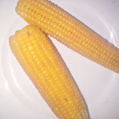 Sweet corn A picture of Sweet corn.