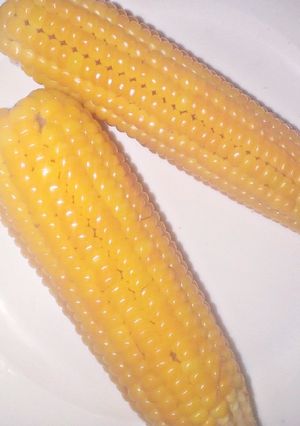 A picture of Sweet corn.